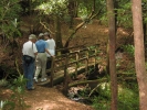 PICTURES/South Carolina Waterfalls/t_King Creek Falls - Crossing Creek.jpg